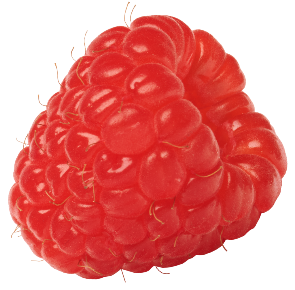 berry fruit