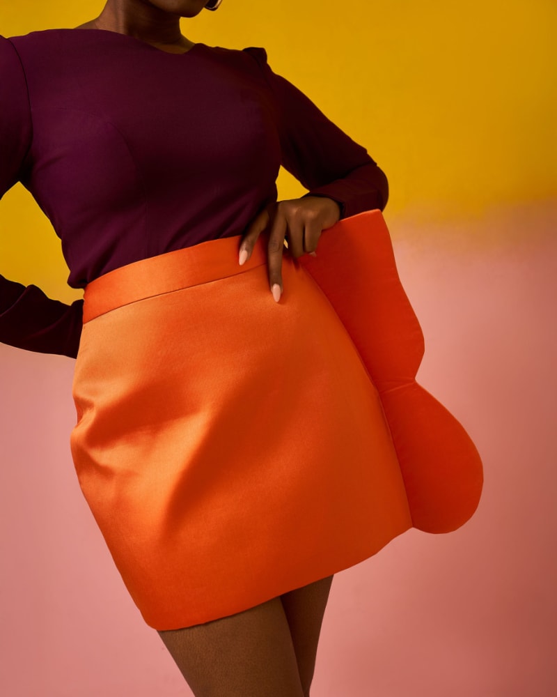 The half butterfly two-piece skirt set