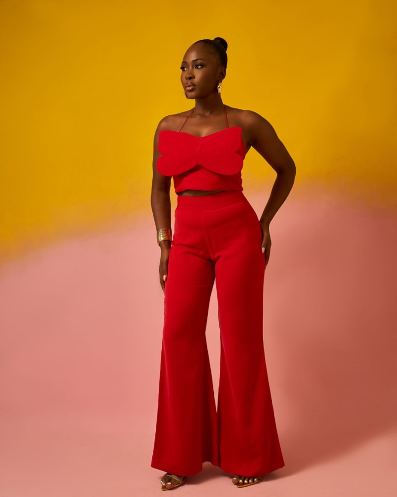The butterfly crop top and pant set