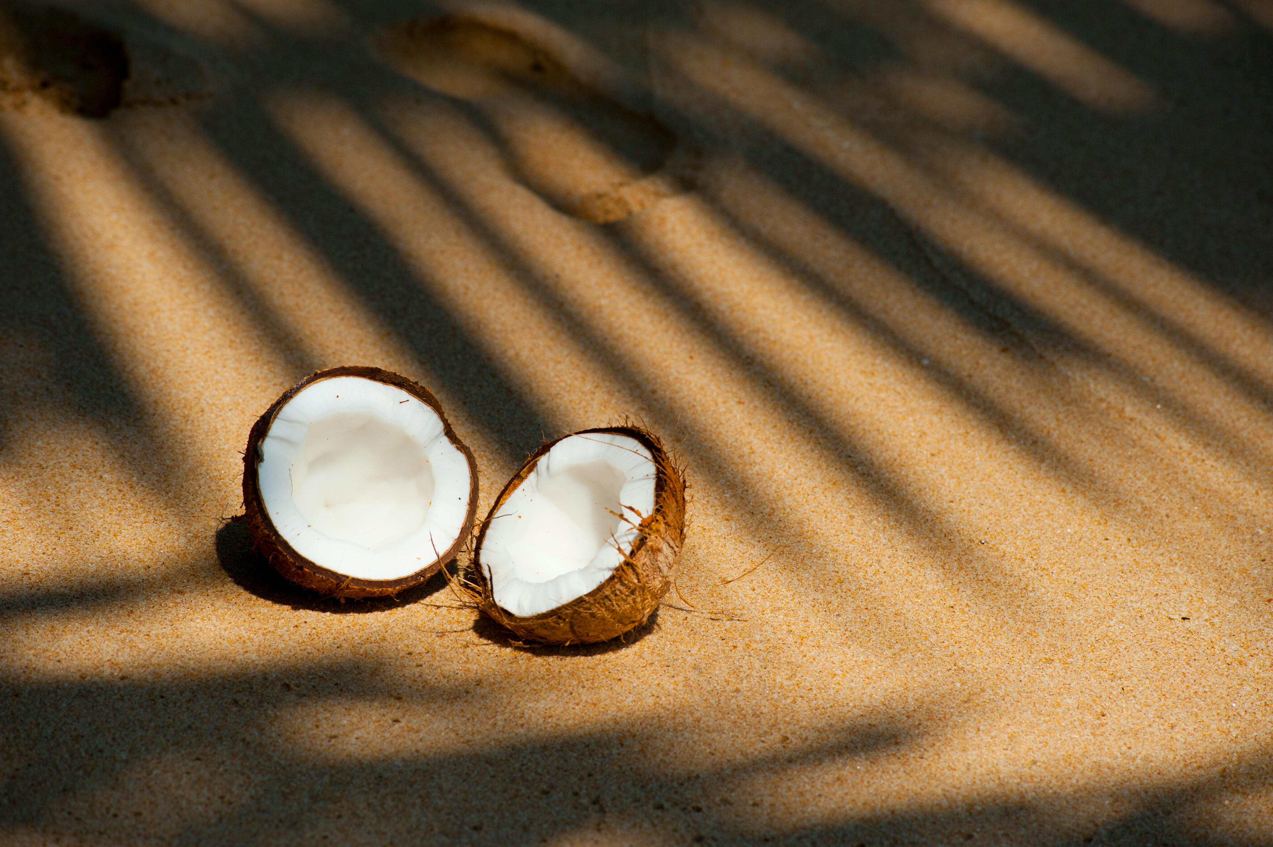 Coconut split into two